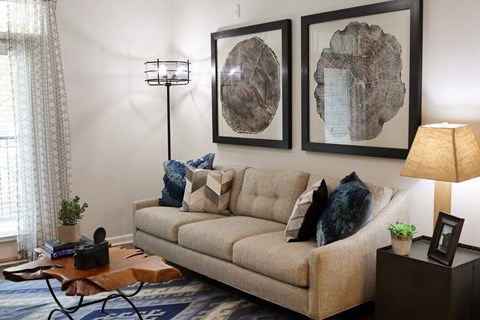 Living room at The Crest at Laurel Canyon Apartments, Canton, GA, 30114